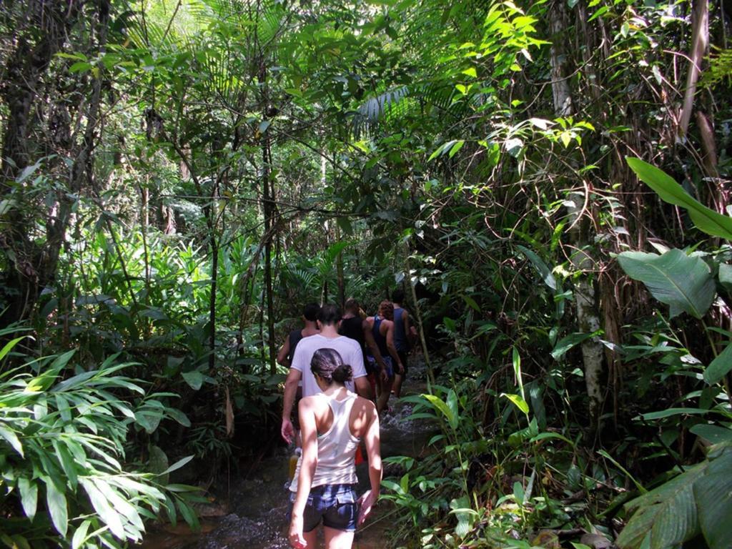 Hotel Fazenda Selva Do Mato Limpo Parapeúna 외부 사진
